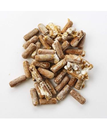 2funguys Lion's Mane Dowel Spawn 100 Count Hericium erinaceus Tooth Fungus Mushroom Dowels