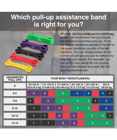 KMM Sports Pull Up Resistance Bands - 6 Pack for Effective Workouts - Buy Online on GoSupps.com