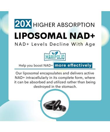 Liposomal NAD+ 1000 mg Supplement | High Bioavailability Liposomal Delivery | Cellular Energy & Wellness Support | Pure NAD+ Dietary Supplement for Men Women 60 Softgels 60 Count (Pack of 1) - Buy Online on GoSupps.com