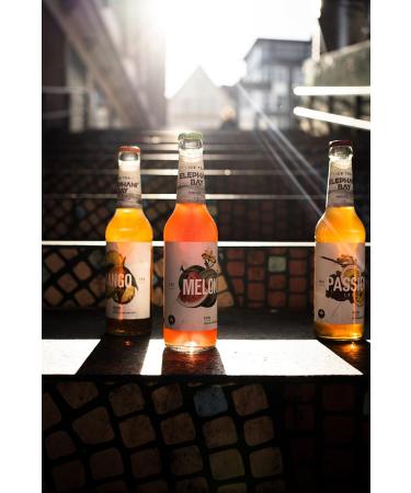  Mixcompany.de Bar & Glas Elephant Bay ICE TEA Elephant Mango Iced Teas 330ml Each with Locker - Multi Purpose - 24 Pack - Buy Online on GoSupps.com