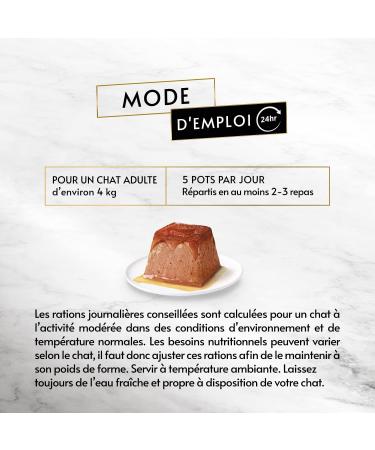 GOURMET Muslin with Salmon for Adult Cats | 4 x 57g Meals | Premium Cat Food (228g) - Buy Online on GoSupps.com