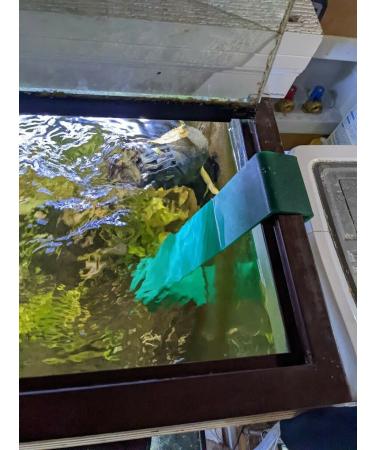 Green Acrylic Angelfish & Discus Breeding Slate - Amazon Sword Leaf Simulation for Fish Spawning - USA Made - Buy Online on GoSupps.com