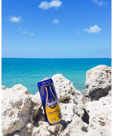 ORANGINA Sparkling Citrus Beverage Original All-Natural 330ml Slim Can 4x6pk 24 Count - Buy Online on GoSupps.com
