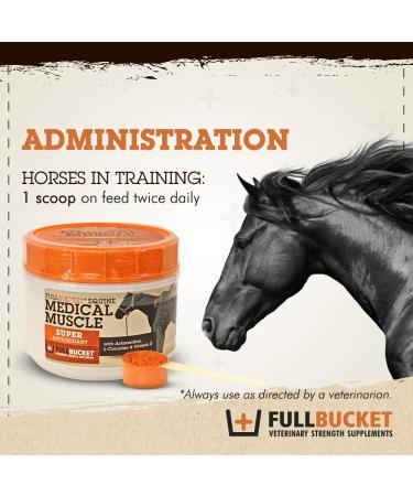 Equine Medical Muscle Recovery - Best Athletic Supplement for Horse Performance & Muscle Recovery - Buy Online on GoSupps.com