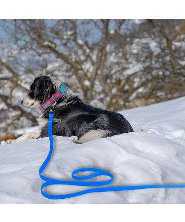 Wolfone 9m Waterproof Dog Tow Lines - Durable & Easy-Care Leash for Recall Swimming Camping & Beach | Ideal for Training & Walks - Buy Online on GoSupps.com
