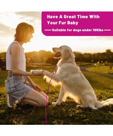 Haiyuan Dog Tie Out Cable - 10/15/20/25/30 FT Heavy-Duty Steel Wire Runner for Dogs Up to 165 LBS - Durable Pink Dog Lead with Superior Clips - Ideal for Yard & Outdoor Use - Buy Online on GoSupps.com