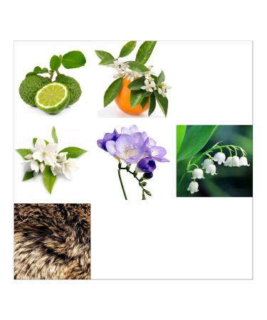 Rachel Zoe Instinct Gift Set - Gift Set For Women - Eau De Parfum Perfume Soy Wax Jar Candle And Body Spray For Women - Fragrance Gift Set - 3 pc - Buy Online on GoSupps.com