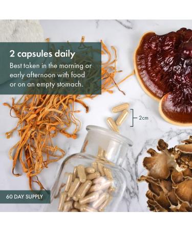 Host Defense Stamets 7 Mushroom Complex Supplements |Immune Booster Supplement with 7 Mushroom Blend - Lions Mane Chaga Cordyceps Reishi Maitake Mushrooms Supplements Capsules (120 Count (Pack of 1) Stamets 7 Capsules) Stamets 7 Capsules 120 count (Pack o - Buy Online on GoSupps.com