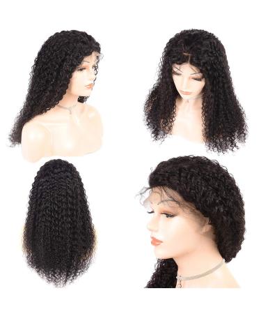 High-Density Lace Front Wig | 20 Curly Real Hair Wig with Baby Hair for Black Women | 150% Brazilian Smooth - Buy Online on GoSupps.com