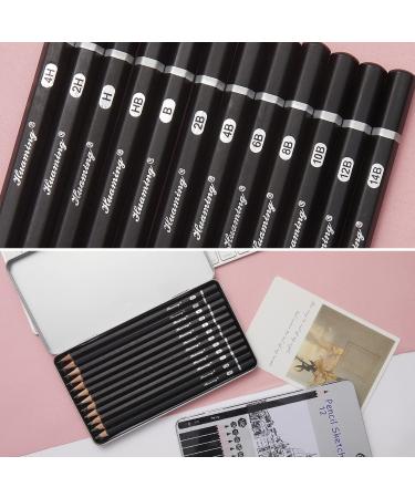 GETHPEN Sketch Pencils 12 Pack - Graphite Drawing Pencils for Art, Shading, and Sketching - Buy Online on GoSupps.com