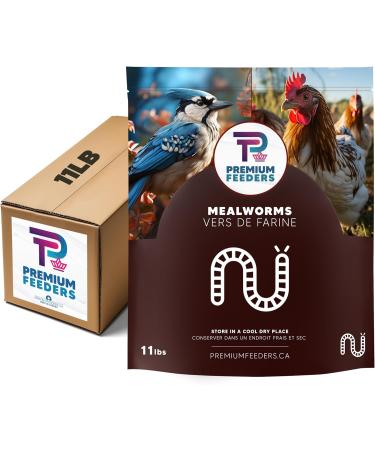 11lb Dried Mealworms by Premium Feeders Approx 175000+ Dried Mealworms - Chicken & Bird Feed - Meal Worms Treats - High Protein Mealworm for Chickens Wild Birds Hens & Small Animals - 5KG - Buy Online on GoSupps.com