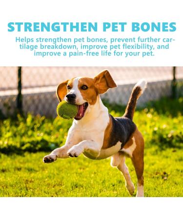 Pet Joint Drops for External Use Glucosamine for Cats & Dogs - Cat Hip and Joint Liquid Topical - Buy Online on GoSupps.com