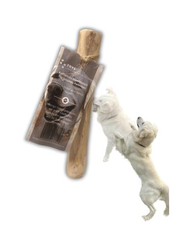 Zoys coffee wood natural chewing bones for dogs - size S 3-7kg weight - Caustab for tooth cleaning & dental care & sustainable employment - dog accessories durable & low -ray - 1 piece (s) - Buy Online on GoSupps.com