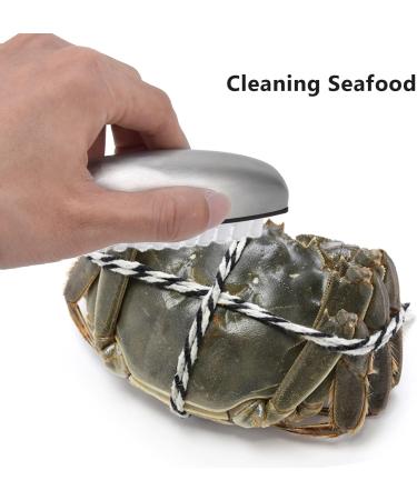 Tbest B Fruit Vegetable B 304 Stainl Steel Nylon Wool Multifunction Finger Nail B for Kitchen - Buy Online on GoSupps.com