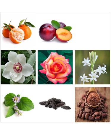 Rachel Zoe Warrior - 0.34 oz Eau de Parfum Mini Spray - Perfectly Balanced Feminine Perfume for Women - Awaken the Senses with a Lasting Signature Designer Scent Warrior 0.34 Fl Oz (Pack of 1) - Buy Online on GoSupps.com