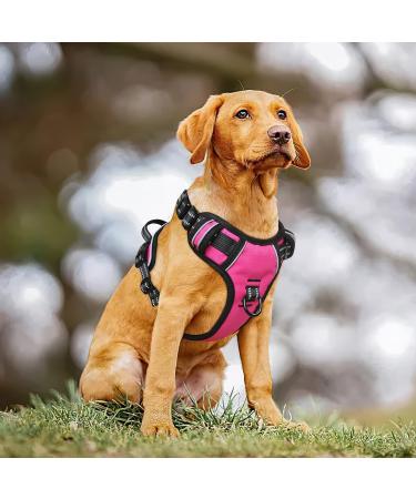 Adjustable No-Pull Heele Dog Harness for Large Dogs - Breathable & Reflective - Fuchsie - XL (53-97cm) - Buy Online on GoSupps.com
