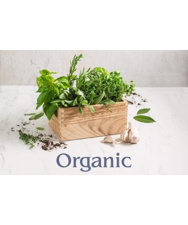 Club House Quality Natural Herbs & Spices Organic Chili Powder 31g 31 g (Pack of 1) - Buy Online on GoSupps.com