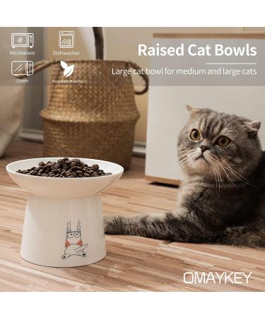Extra Wide Ceramic Raised Cat Bowls - Set of 2 White - Elevated Porcelain Pet Food and Water Dishes for Big Cats and Small Dogs - Buy Online on GoSupps.com