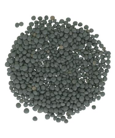 Lentils | Black Beluga | 4 lb Resealable Bag | Non-GMO | Kosher | Vegan | Non-Irradiated 4 Pound (Pack of 1) - Buy Online on GoSupps.com