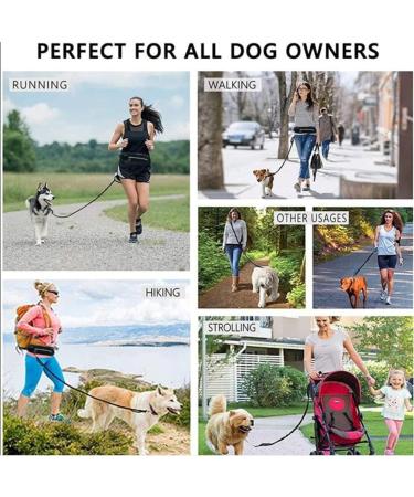 Boxwizard Dog Jogging Lead with Belly Strap Dog Lead for Small Dog Lead Zip Pocket Reflective Running Lead Belt Bag Outdoor Jogging Walking Night Running Black Waist Bag Average code - Buy Online on GoSupps.com