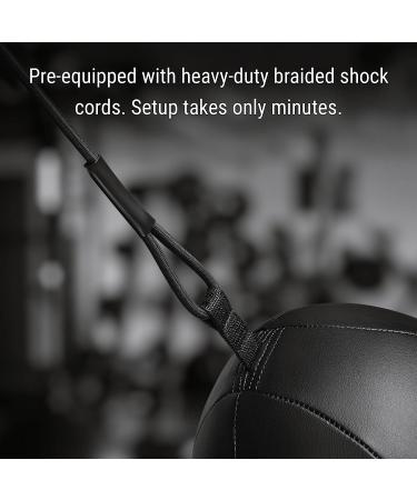 Hayabusa Double Ended Bag Classic Sphere - Black  12 Inches - Buy Online on GoSupps.com