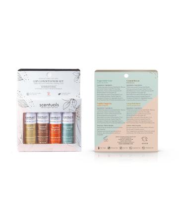 Lip Balm Set of 4 Made with Shea Butter Cocoa Butter Avocado & Jojoba oil Beeswax Moisturizing Lip Care & Hydration Cruelty Free Natural Lip Conditioner 4 psc Set of 4 Mix - Buy Online on GoSupps.com