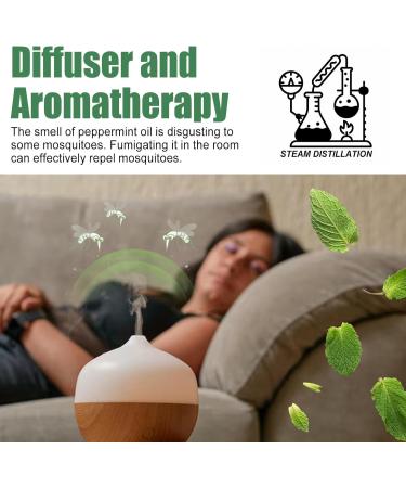 Massage Oil Mint Relaxation Oil with Peppermint for All Skin Types | Perfect for Couples & International Shipping - Buy Online on GoSupps.com