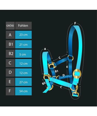 Royal Blue Foal Halter - Horse Delinis Mini Shetty Halter for Foals | Adjustable Durable Comfortable - Buy Online on GoSupps.com