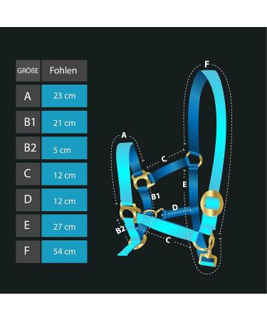 Buy Adjustable Pink Horse Delini Foal Halter - Knitting Halter for Wooden Horses - Perfect Fit for Foals - Buy Online on GoSupps.com