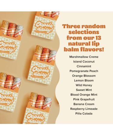 Poppy & Pout 100% Natural Lip Balm Gift Set - 3pk Oopsie Daisy | Hand-filled, Beeswax, Vitamin E, Coconut Oil | Cruelty Free | Cardboard Tube - Buy Online on GoSupps.com