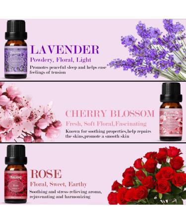 SALKING Essential Oils Set - 100% Pure Aromatherapy Gift for Diffusers - Lavender, Rose, Jasmine, Cherry Blossom, Gardenia, Chamomile - 6 x 10 ML - Buy Online on GoSupps.com