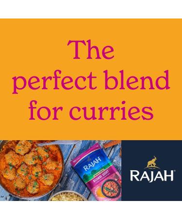 Rajah Hot Madras Curry Powder - 1kg Pack | Spicy Indian Masala Spice Blend - Buy Online on GoSupps.com