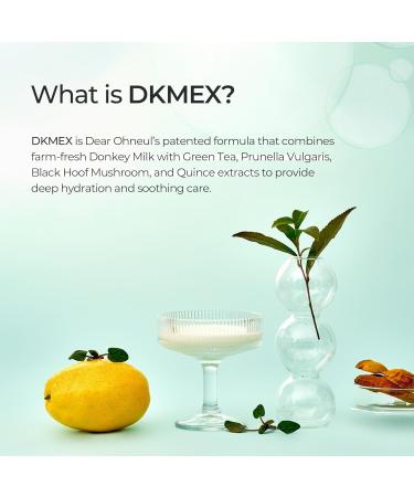 Dear Ohneul Mud Cleanser | 120ml 4.06 Fl. Oz | 2-in-1 Cleanser & Mask | Donkey Milk | Pore Refining | Deep Cleanse | Kaolin Clay | Moisturizing | Korean Skincare - Buy Online on GoSupps.com