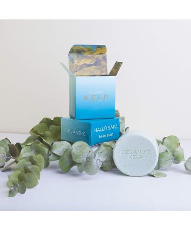 Exfoliating Bars of Soap - Natural Ingredients, Assorted Scents - Icelandic Kelp & Moss, Set of 2, 4 oz Each - Buy Online on GoSupps.com