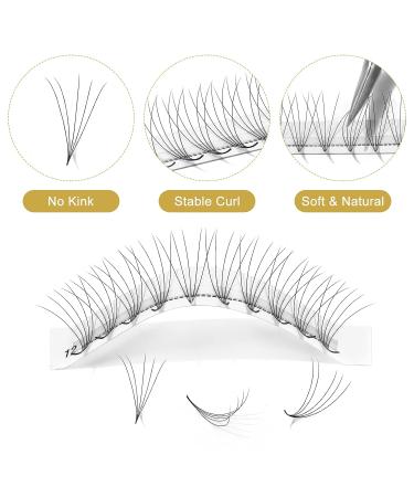 QUEWEL Premade Fans 5D-0.07D Mix 12-15mm | Russian Volume Eyelash Extensions 10D-14D | Long Lasting & Easy Application | C/D Curl | 0.05/0.07/0.10 | 10-18mm Length - Buy Online on GoSupps.com