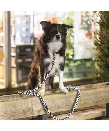 Trixie Cavo Dog Leash L-XL - 1.00m 18mm - Black | Durable Short Leash for Large to Extra Large Dogs | Optimal Control - Model 144201 - Buy Online on GoSupps.com