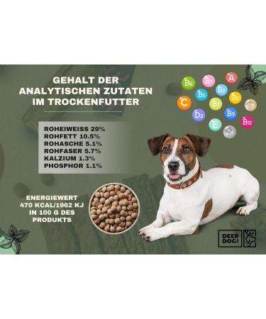 DEER DOG! (1 x 12 kg) | Premium dry dog food with red deer 65% + blackberry for large dogs | Grain-free dry dog food | Dry dog food for large dogs - Buy Online on GoSupps.com