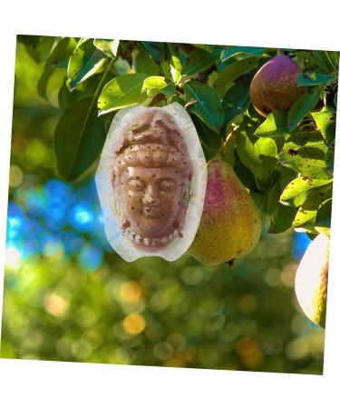 GANAZONO Fruits Forming Mould Vegetable Ginseng Vegetable Shaping Fruit Cucumber Fruits and Vegetables - Buy Online on GoSupps.com