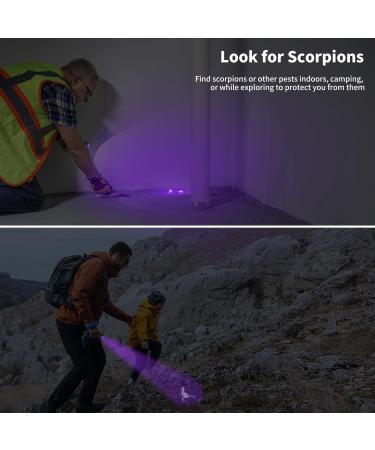 LEAGY 6 Pack UV Ultra Violet Blacklight 9 LED Flashlight Torch Light Outdoors Etc Multicolored - Buy Online on GoSupps.com