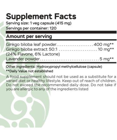 RaDoTech Ginkgo Biloba Memory Focus & Brain Function Support Antioxidant-Rich Plant-Based GMP Herbal Nootropic Vegetarian Capsules 120 Count (Pack of 1) - Buy Online on GoSupps.com