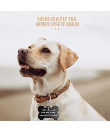 Buy Durable Aluminum Dog Tags & Trailers - 30 Pet ID Tags + 10 Chains for Dogs & Cats - Waterproof & DIY Friendly - Buy Online on GoSupps.com