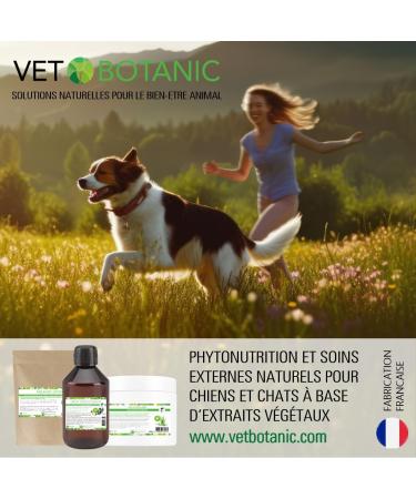 VET BOTANIC - Glucosamine chondroitin - Joint strengthening for dogs and cats (Powder) - 100g - Buy Online on GoSupps.com