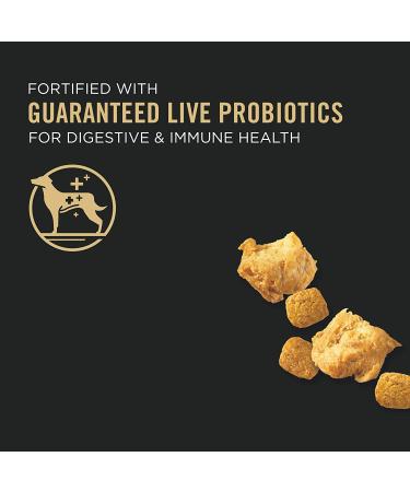 Purina Pro Plan Small Breed Shredded Formula Adult Dry Dog Food - Chicken & Rice Blend 6 lb Bag - Buy Online on GoSupps.com