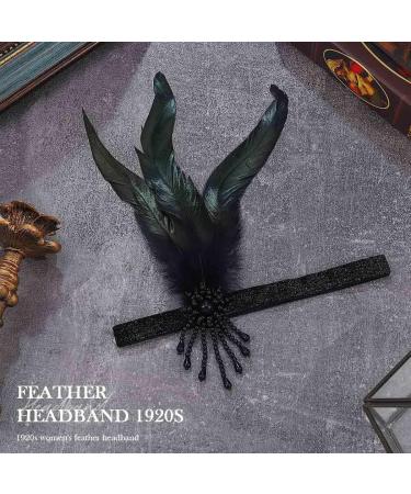 Handcess 1920s Flapper Feather Headband Black Feather Beaded Headband Women's Vintage Flapper Headpiece 20's Theme Cocktail Hair Accessories for Costume Prom Carnival Theme Party - Buy Online on GoSupps.com