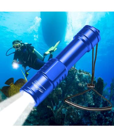 ORCATORCH D520 Scuba Dive Light 1000 Lumens Waterproof Diving Torch Submarine Diving Lights Underwater Diving Flashlight (Blue)