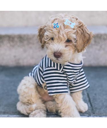 Yaodhaod 20 Pcs Cute Multi-Colored Dog Hair Accessories - Small Bone & Water Drop Hairpins for Dogs Cats & Pets - Buy Online on GoSupps.com