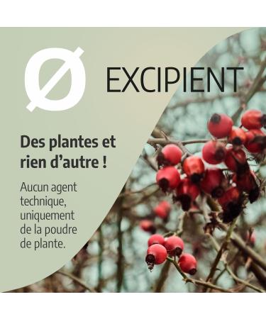 Rosehip 300mg - 200 capsules - Buy Online on GoSupps.com