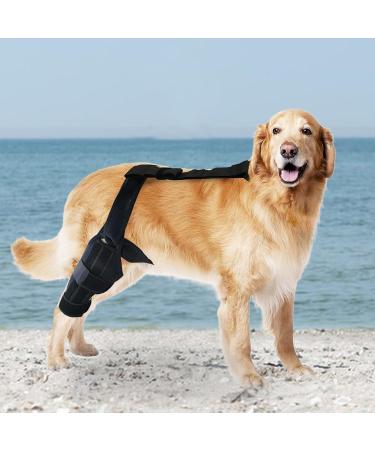 Dog Knee Brace | Dog ACL Knee Support Brace Rear Leg Stabilizer for Small Dogs Neoprene Hip Brace with Adjustable Traction Belt for Cruciate Ligament Injury Joint M right - Buy Online on GoSupps.com