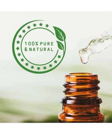 Mystic Moments Onion Essential Oil 10ml | Pure & Natural for Diffusers Aromatherapy & Vegan Massage Mixtures - GVO-Free - Buy Online on GoSupps.com