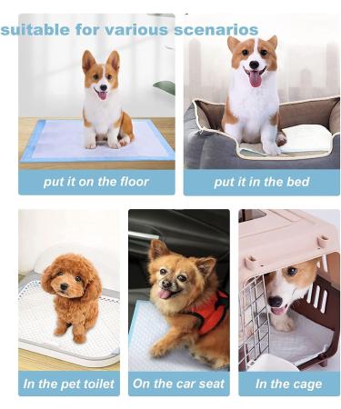 40Pcs Dog Pee Pads Extra Large Disposable Dogs Training Potty Pad Leak-Proof Puppy Pads Pet Training Pads Strong Absorption Floor Mat for Dogs Cats Rabbits(32 x 36 inch) - Buy Online on GoSupps.com
